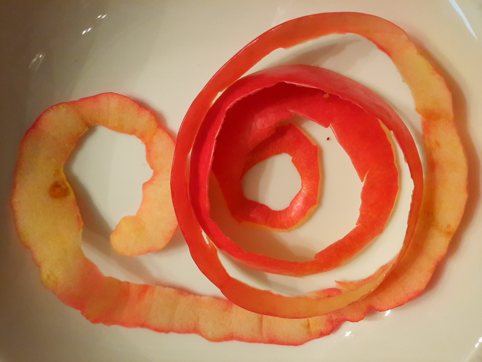 Zen.nl, Zen, meditatie, leren mediteren, foto